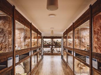 V Hradci Králové se dnes otevřela nová expozice Svět plazů!