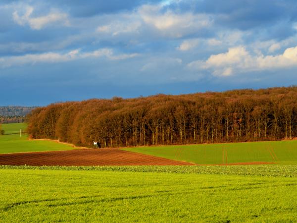 Na lubenském vrchu neboj se lesa ani duchů!