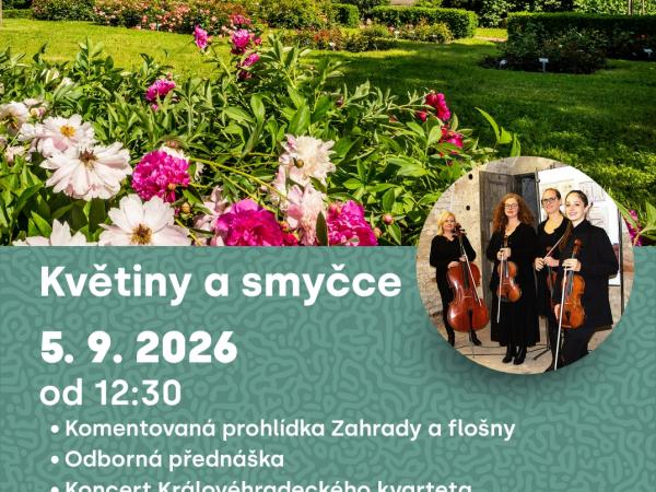 Květiny a smyčce