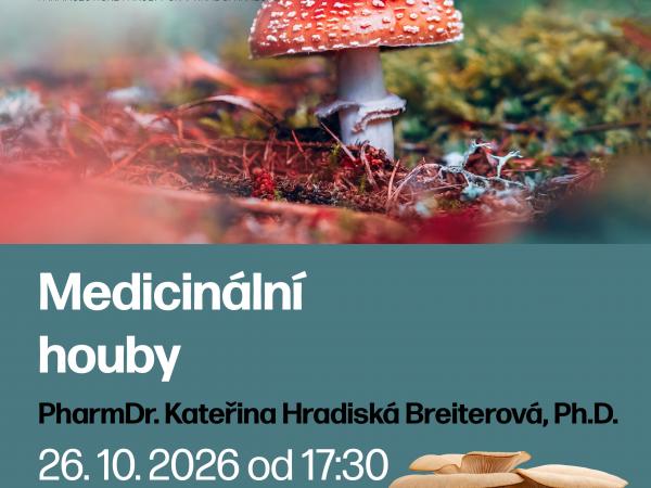 Přednáška: Medicinální houby